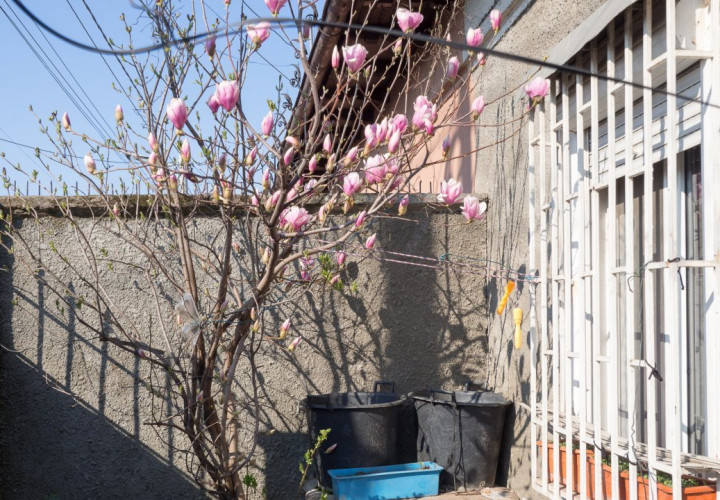 Casa 3 camere singur curte Petricani Tei